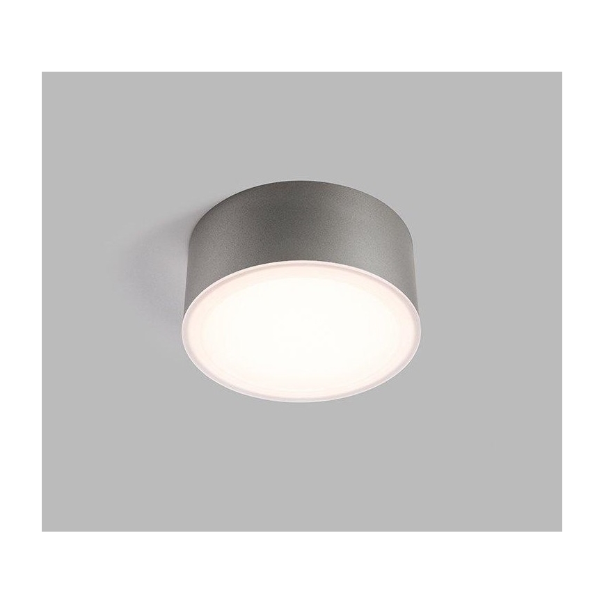 LED2 - LED Stropné svietidlo BUTTON LED/17W/230V strieborná