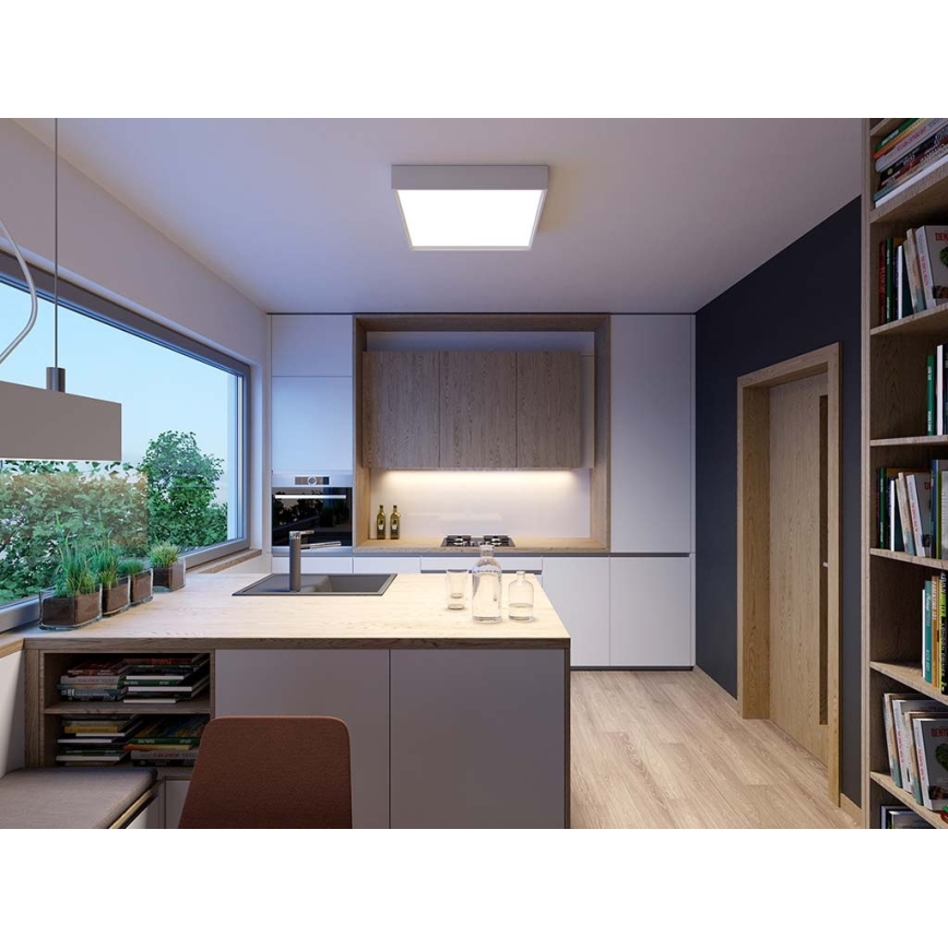 LED2 - LED Stropné svietidlo MILO LED/30W/230V biela 3000/4000K