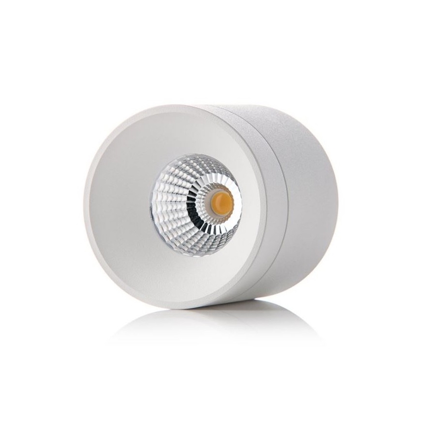 LED2 - LED Stropné svietidlo TINY LED/8W/230V biela
