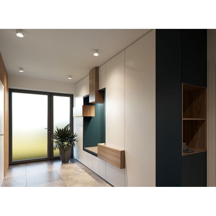 Vstupná hala s vstavanou skriňou a lavicou. Skriňa je biela s tmavomodrými a drevenými prvkami. Pred skriňou je kvetináč s rastlinou. V pozadí sú dvere s matným sklom.