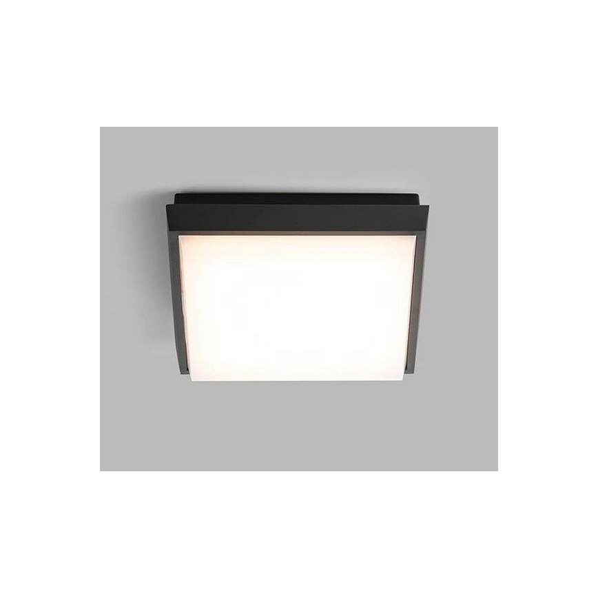 LED2 - LED Vonkajšie stropné svietidlo QUADO LED/10W/230V antracit IP54