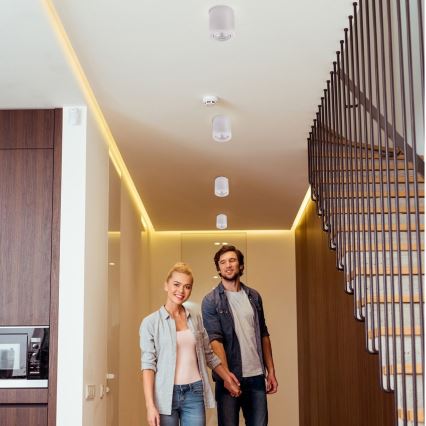 Ledvance - Bodové svietidlo TUBA 1xGU10/50W/230V