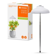 Ledvance - LED Interiérová lampa na rastliny GARDEN LIGHT LED/5W/5V