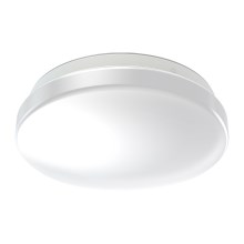 Ledvance - LED Kúpeľňové stropné svietidlo CEILING ROUND LED/12W/230V 4000K IP44