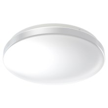 Ledvance - LED Kúpeľňové stropné svietidlo CEILING ROUND LED/24W/230V 3000K IP44