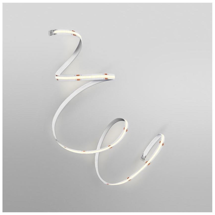 Ledvance - LED Pásik FLEX COB 5m LED/24W/230V