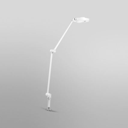 Biela stolová lampa s okrúhlou hlavou sa nachádza na svetlosivom pozadí. Lampa je na kĺbovej nohe, ktorá umožňuje nastavenie výšky a smeru svetla.