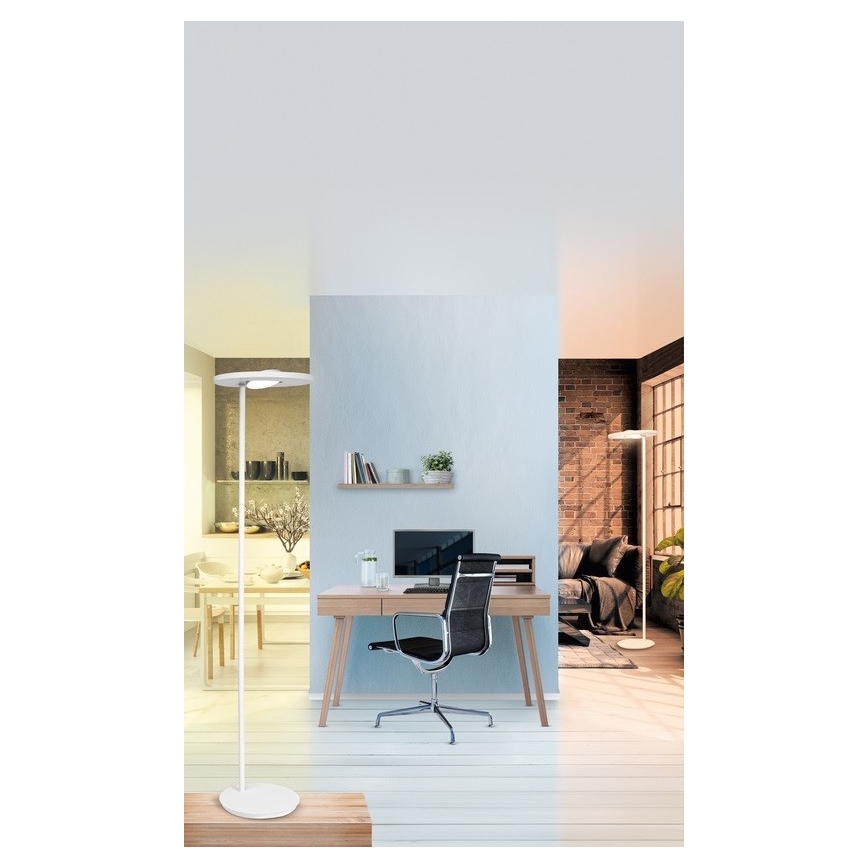 Ledvance - LED  Stmievateľná stojacia lampa SUN@HOME LED/36W/230V 2200-5000K CRI 95 Wi-Fi