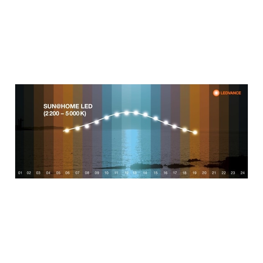 Ledvance - LED  Stmievateľná stojacia lampa SUN@HOME LED/36W/230V 2200-5000K CRI 95 Wi-Fi