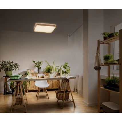 Ledvance - LED stmievateľné stropné svietidlo ORBIS LED/16W/230V 3000K 29x29 cm