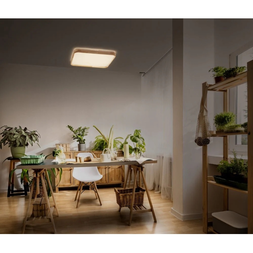 Ledvance - LED stmievateľné stropné svietidlo ORBIS LED/16W/230V 3000K 29x29 cm