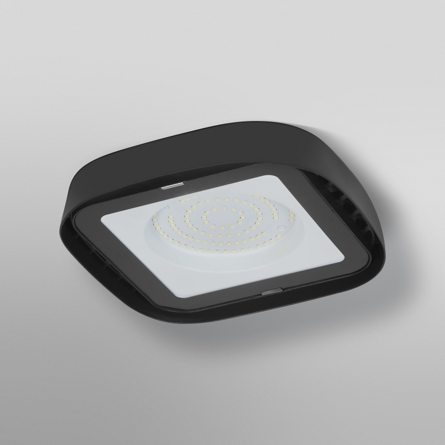 Ledvance - LED Stropné priemyselné svietidlo HIGHBAY LED/80W/230V IP65 6500K
