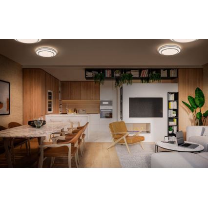 Dve kruhové stropné svietidlá svietia v modernej kuchyni a obývacej izbe s drevenou podlahou, hnedým nábytkom a vstavanou televíziou. Stôl s hnedými stoličkami je umiestnený v jedálenskej časti.