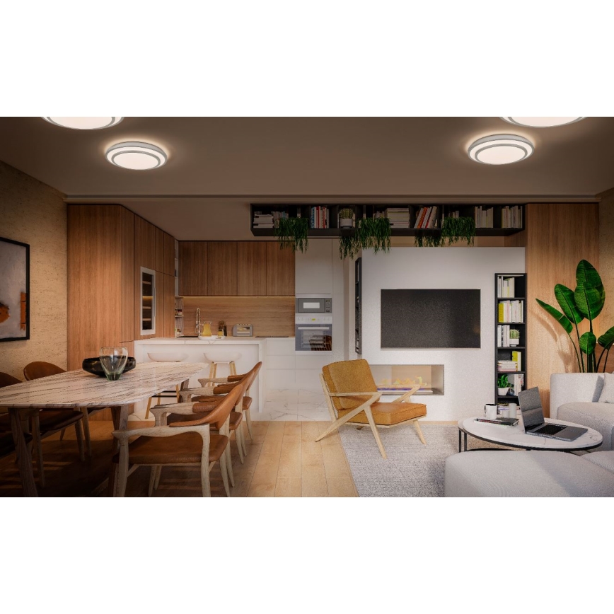 Dve kruhové stropné svietidlá svietia v modernej kuchyni a obývacej izbe s drevenou podlahou, hnedým nábytkom a vstavanou televíziou. Stôl s hnedými stoličkami je umiestnený v jedálenskej časti.