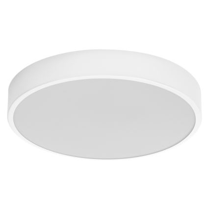 Ledvance - LED Stropné svietidlo ORBIS SLIM LED/20W/230V biela