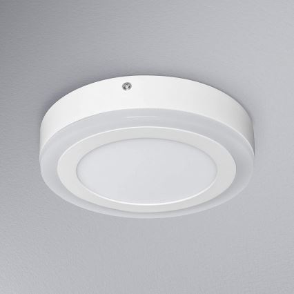 Ledvance - LED Stropné svietidlo ROUND LED/15W/230V pr. 20 cm