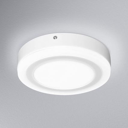 Ledvance - LED Stropné svietidlo ROUND LED/15W/230V pr. 20 cm