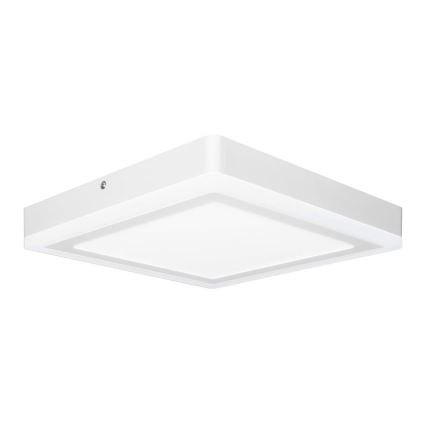 Ledvance - LED Stropné svietidlo SQUARE LED/18W/230V