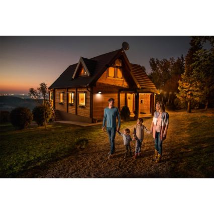 Ledvance - LED vonkajší nástenný reflektor s pohybovým a súmrakovým senzorom FLOODLIGHT LED/30W/230V IP65