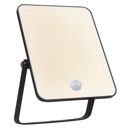 Ledvance - LED vonkajší nástenný reflektor s pohybovým a súmrakovým senzorom FLOODLIGHT LED/30W/230V IP65