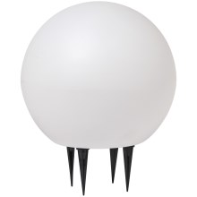 Ledvance - LED Vonkajšia lampa ENDURA HYBRID BALL LED/2W/12V IP44