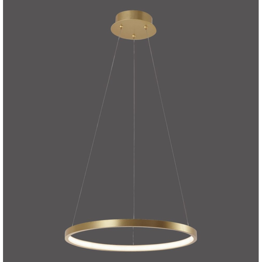 Leuchten Direkt 11522-12 - LED Luster na lanku CIRCLE LED/19W/230V