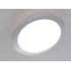 Leuchten Direkt 14200-21 - LED Stropné svietidlo SATOB LED/12W/230V