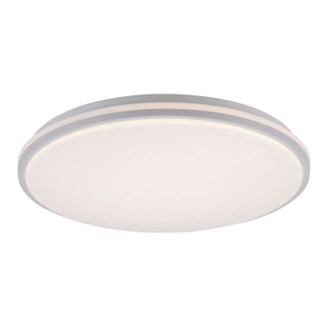 Leuchten Direkt 14209-16 - LED Stmievateľné stropné svietidlo COLIN LED/32,4W/230V