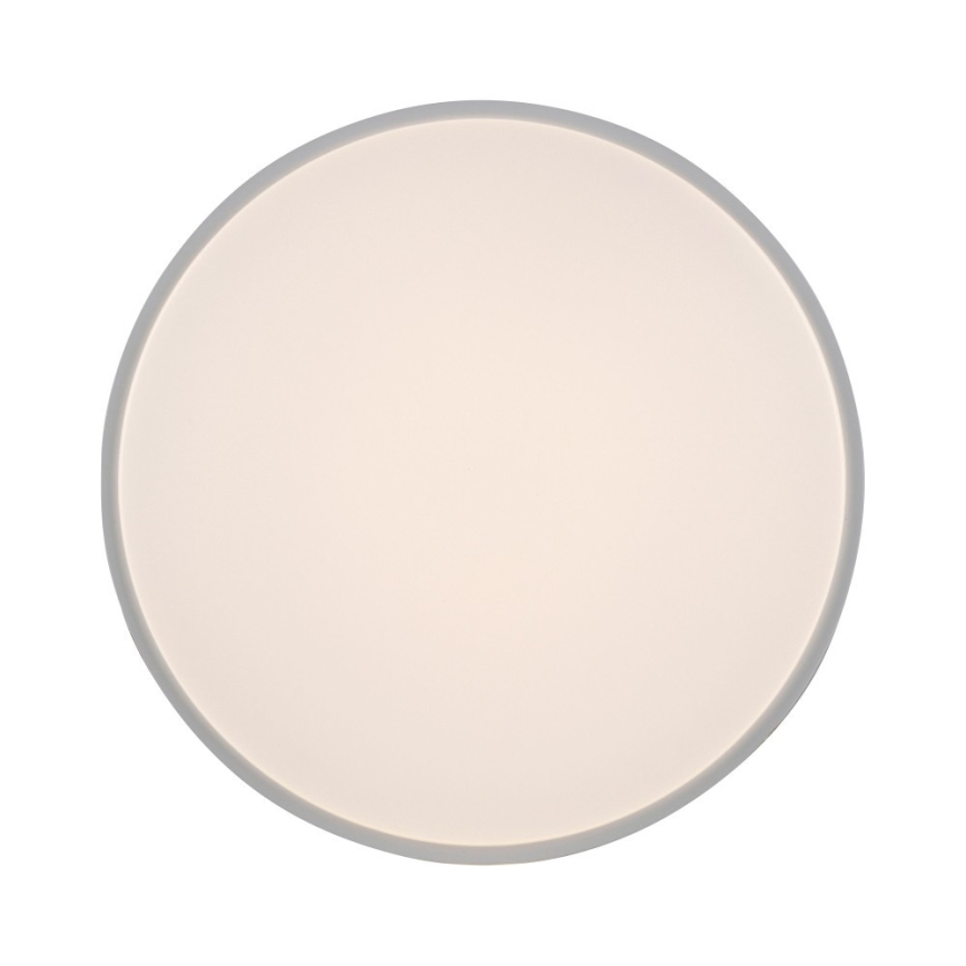 Leuchten Direkt 14209-16 - LED Stmievateľné stropné svietidlo COLIN LED/32,4W/230V