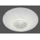 Leuchten Direkt 14319-16 - LED Stmievateľné stropné svietidlo ANNA 1xLED/8W/230V