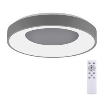 Leuchten Direkt 14326-18 - LED Stmievateľné stropné svietidlo ANIKA LED/30W/230V + diaľkové ovládanie