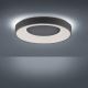 Leuchten Direkt 14326-18 - LED Stmievateľné stropné svietidlo ANIKA LED/30W/230V + diaľkové ovládanie