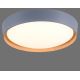 Leuchten Direkt 14347-15 - LED Stmievateľné stropné svietidlo EMILIA LED/28,8W/230V šedá