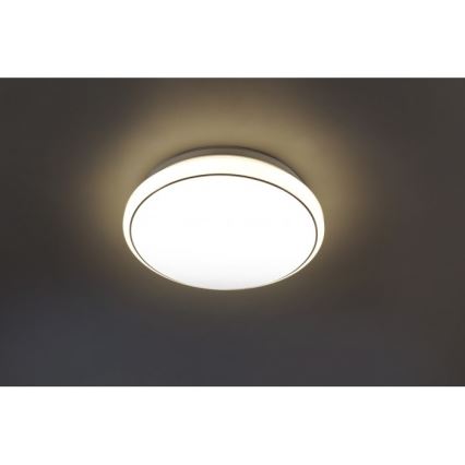 Leuchten Direkt 14362-16 - LED Stropné svietidlo JUPITER LED/17W/230V 3000/4000/5000K