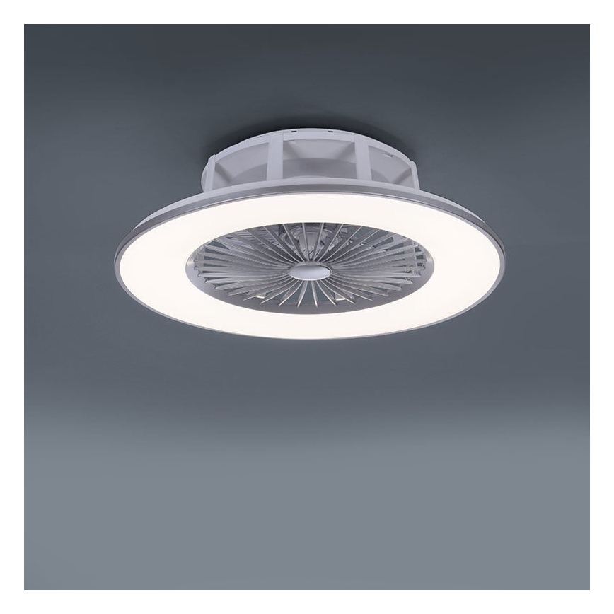 Leuchten Direkt 14646-55 - LED Stmievateľné stropné svietidlo s ventilátorom MICHAEL LED/29W/230V + diaľkové ovládanie