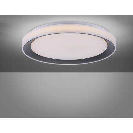 Leuchten Direkt 14659-18 - LED RGB Stmievateľné stropné svietidlo LOLA LED/24W/230V Tuya + diaľkové ovládanie