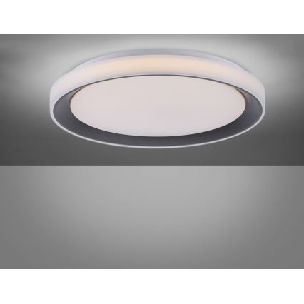 Leuchten Direkt 14659-18 - LED RGB Stmievateľné stropné svietidlo LOLA LED/24W/230V Tuya + diaľkové ovládanie