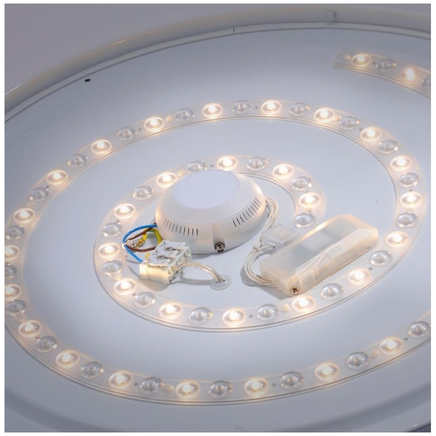 Leuchten Direkt 14822-17 - LED Kúpelňové stropné svietidlo so senzorom LAVINIA LED/40W/230V IP44