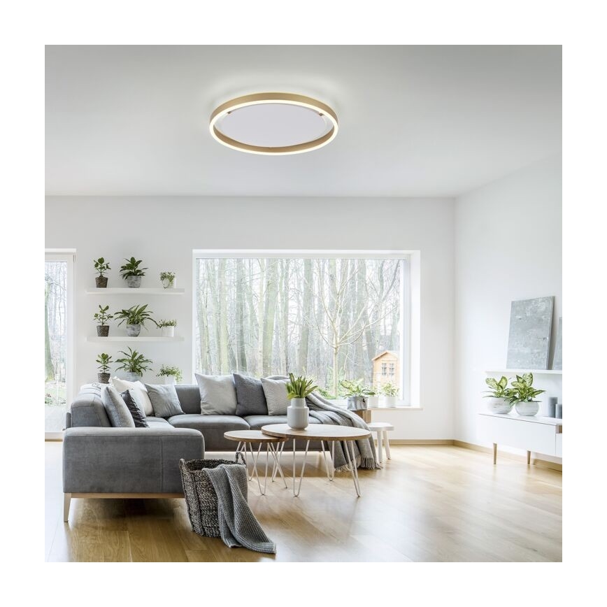 Leuchten Direkt 15392-60 - LED Stmievateľné stropné svietidlo RITUS LED/30W/230V  mosadz