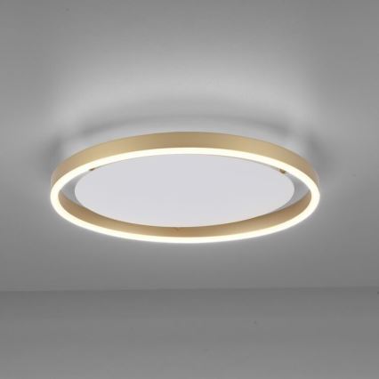 Leuchten Direkt 15392-60 - LED Stmievateľné stropné svietidlo RITUS LED/30W/230V  mosadz