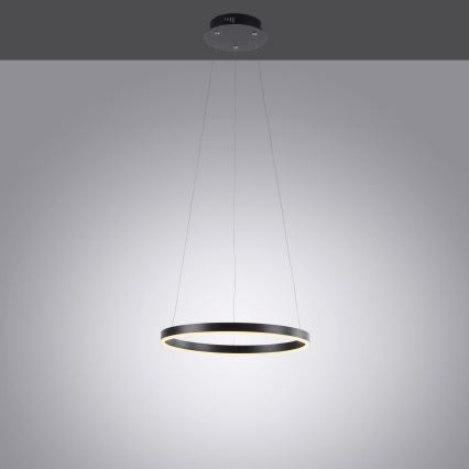 Leuchten Direkt 15393-13 - LED Stmievateľný luster na lanku RITUS LED/20W/230V čierna