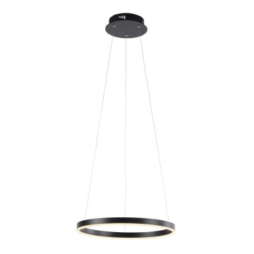 Leuchten Direkt 15393-13 - LED stmievateľný luster na lanku RITUS LED/23,5W/230V čierna