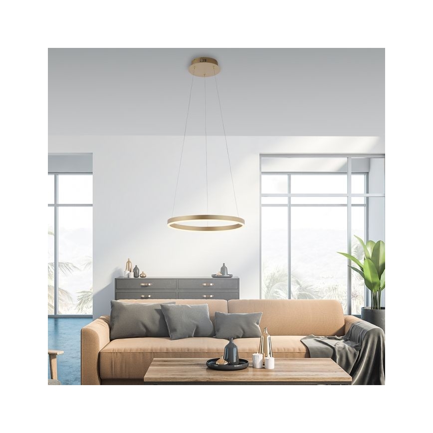 Leuchten Direkt 15393-60 - LED Stmievateľný luster na lanku RITUS LED/20W/230V