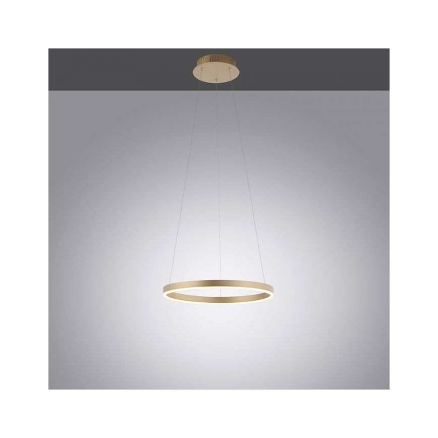 Leuchten Direkt 15393-60 - LED Stmievateľný luster na lanku RITUS LED/20W/230V