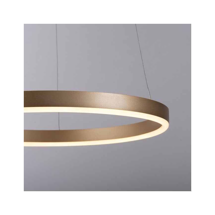 Leuchten Direkt 15393-60 - LED Stmievateľný luster na lanku RITUS LED/20W/230V