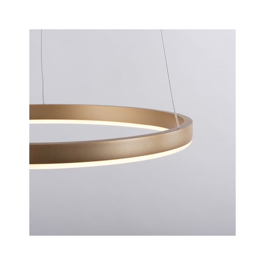 Leuchten Direkt 15393-60 - LED Stmievateľný luster na lanku RITUS LED/20W/230V