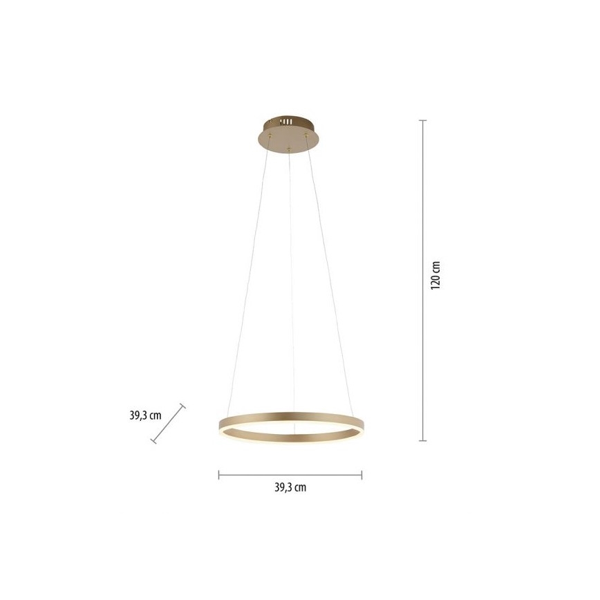Leuchten Direkt 15393-60 - LED Stmievateľný luster na lanku RITUS LED/20W/230V