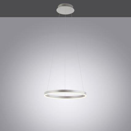 Leuchten Direkt 15393-95 - LED Stmievateľný luster na lanku RITUS LED/20W/230V chróm