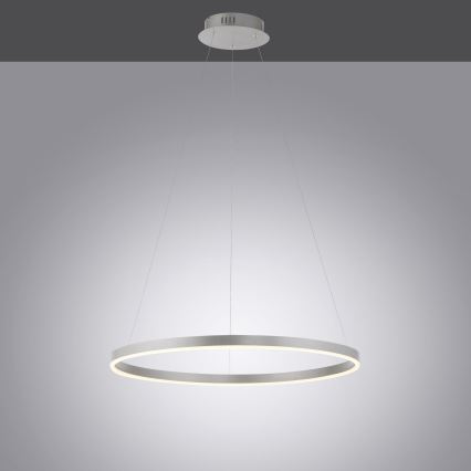 Leuchten Direkt 15394-95 - LED Stmievateľný luster na lanku RITUS LED/30W/230V matný chróm
