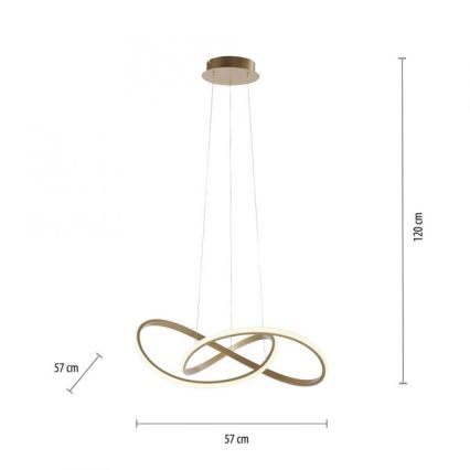 Leuchten Direkt 15402-60 - LED Stmievateľný luster na lanku MARIA LED/25W/230V